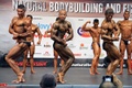 Tomas Kukal INBA-PNBA World Championships Natural Bodybuilding 2012 25.jpg
